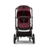 Bugaboo Kangaroo Stroller