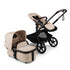Bugaboo Kangaroo Stroller