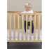 Fizzy 3 Level (Flat) Portable Crib