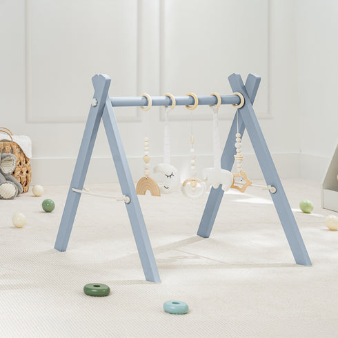 Comfy Cub baby play gym