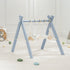 Comfy Cub baby play gym