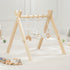 Comfy Cub baby play gym