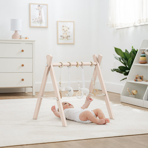 Comfy Cub baby play gym