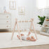 Comfy Cub baby play gym