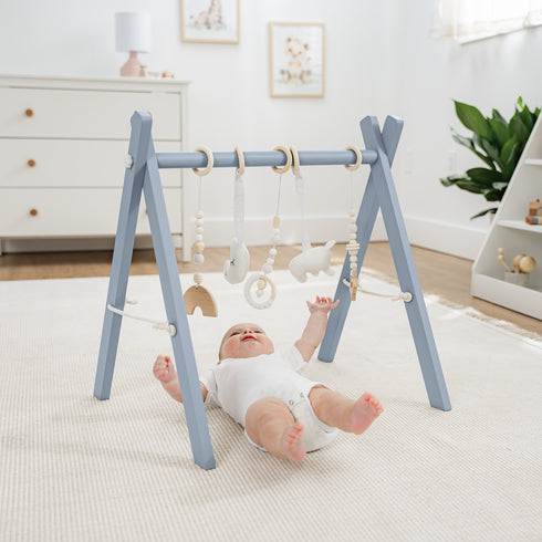 Comfy Cub baby play gym