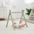 Comfy Cub baby play gym