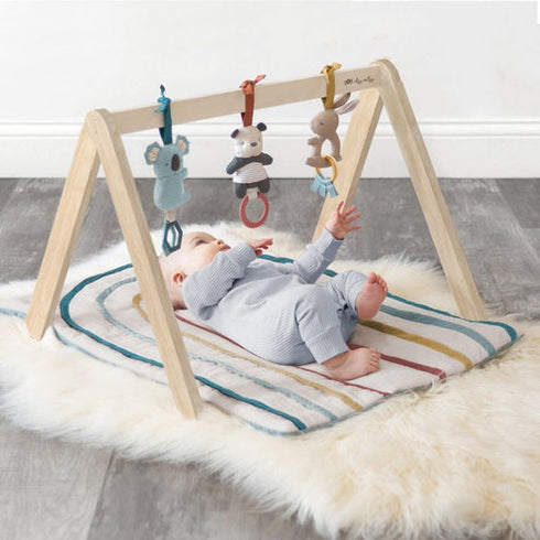 Itzy Ritzy Bitzy Bespoke Activity Gym