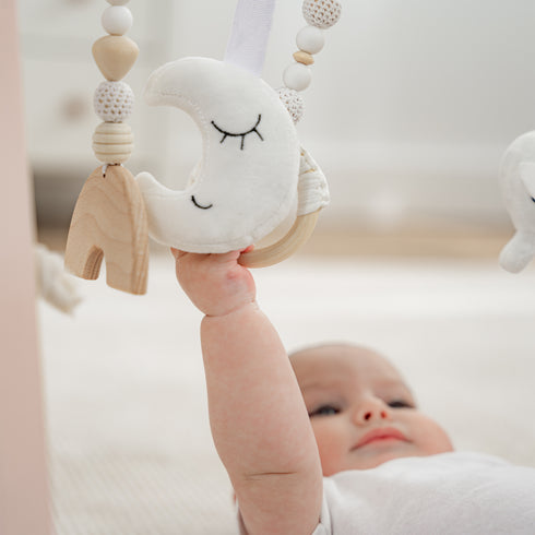 Comfy Cub baby play gym