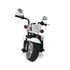 Freddo Toys Chopper Style Ride on Trike 6V