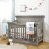 Sorelle Paxton 4-in-1 Crib