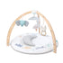 aden + anais baby activity gym rising star boys