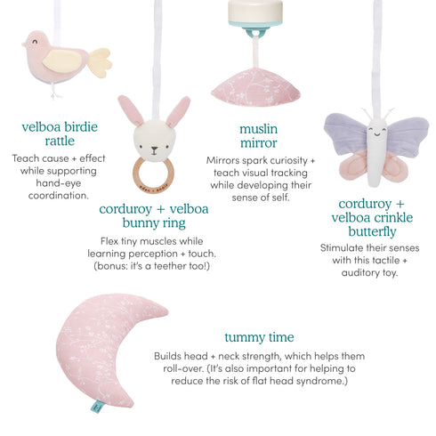 aden + anais baby activity gym ma fleur girls