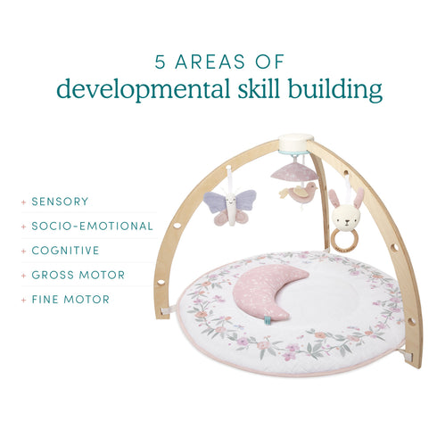 aden + anais baby activity gym ma fleur girls
