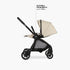 DFY R1 Stroller