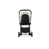 DFY R1 Stroller