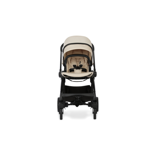 DFY R1 Stroller