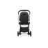 DFY R1 Stroller