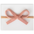 Adora Velvet Bow Headband