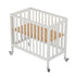 Fizzy 3 Level Mini Portable Crib Bassinet