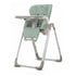 Inglesina My Time Highchair