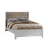 NEST Vibe Collection Double Bed 54"
