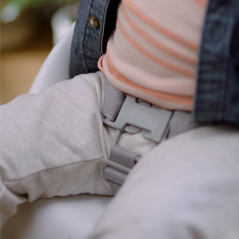 Ingenuity Simplicity Seat Easy Clean Baby Booster Seat
