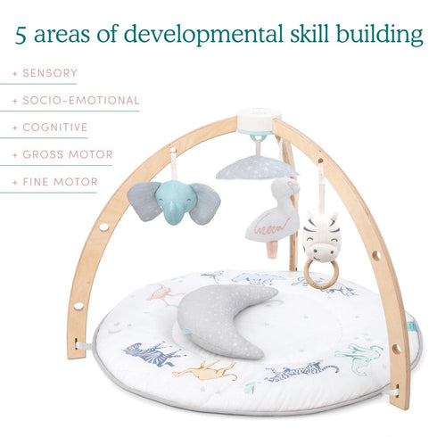 aden + anais baby activity gym rising star boys