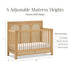 Namesake Eloise 4-in-1 Convertible Crib