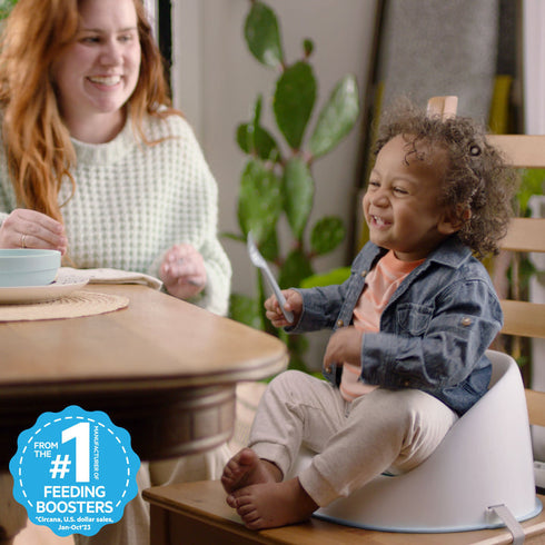 Ingenuity Simplicity Seat Easy Clean Baby Booster Seat