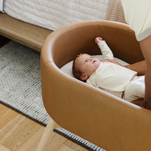 X Gathre Hoop Bassinet
