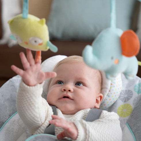 Ingenuity Swing 'n Go Portable Swing- Hugs & Hoots