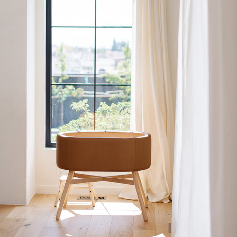 X Gathre Hoop Bassinet