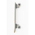 Banwood Skateboard
