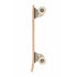 Banwood Skateboard