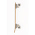 Banwood Skateboard