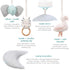 aden + anais baby activity gym rising star boys