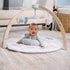 aden + anais baby activity gym rising star boys