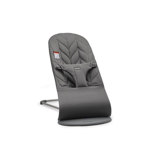 Baby Bjorn Bouncer Bliss