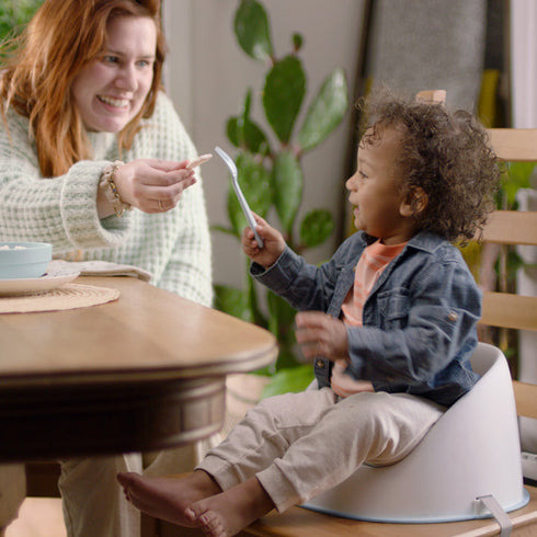 Ingenuity Simplicity Seat Easy Clean Baby Booster Seat