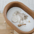 X Gathre Hoop Bassinet