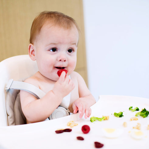 Boon Grub Extra high chair tray