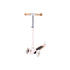 Banwood Scooter