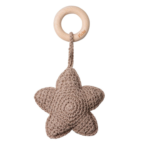 Picky Star Rattle Teether