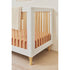 Babyletto Lolly 3-in-1 Convertible Crib with Toddler Bed Conversion Kit