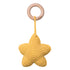 Picky Star Rattle Teether