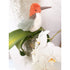 Mon Ami Hummingbird