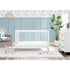 Delta Sloane 4-in-1 Acrylic Crib