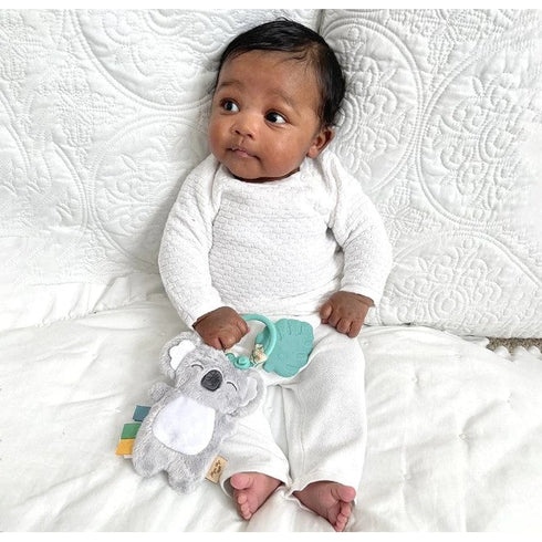 Itzy Ritzy Rattle Pal Plush with Teether
